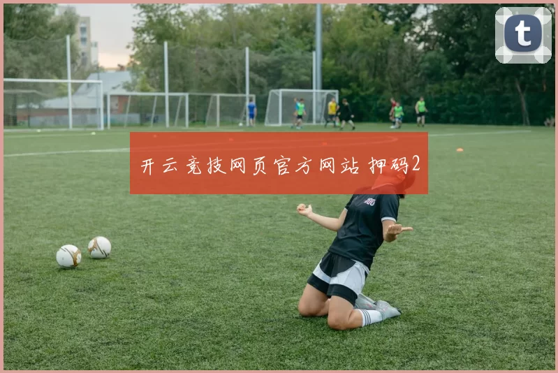 开云竞技网页官方网站 押码2