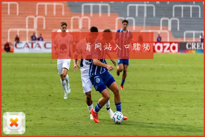 開雲體育网站入口赌场