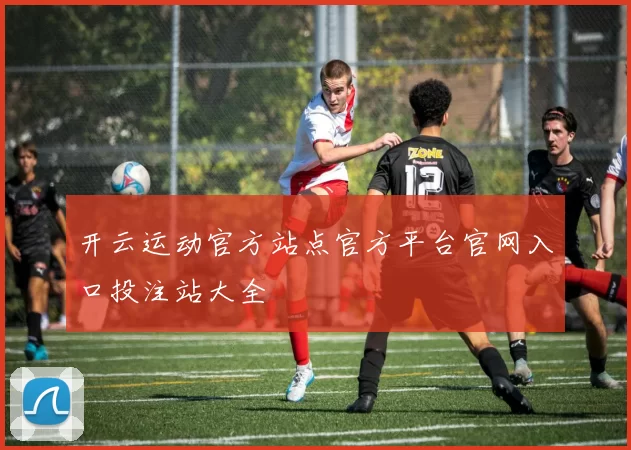 开云运动官方站点官方平台官网入口投注站大全