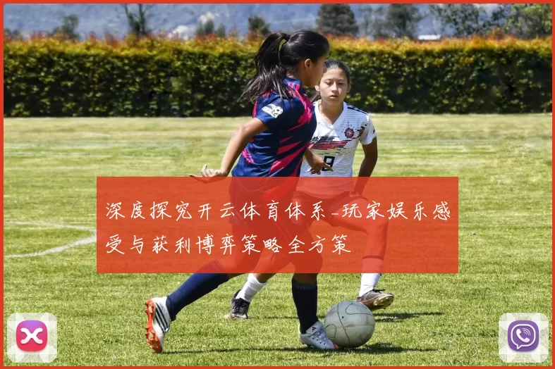 深度探究开云体育体系_玩家娱乐感受与获利博弈策略全方策